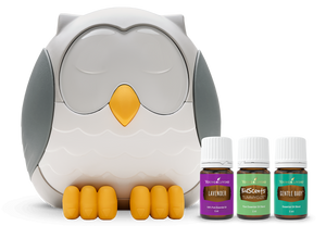 Kids Collection Bundle